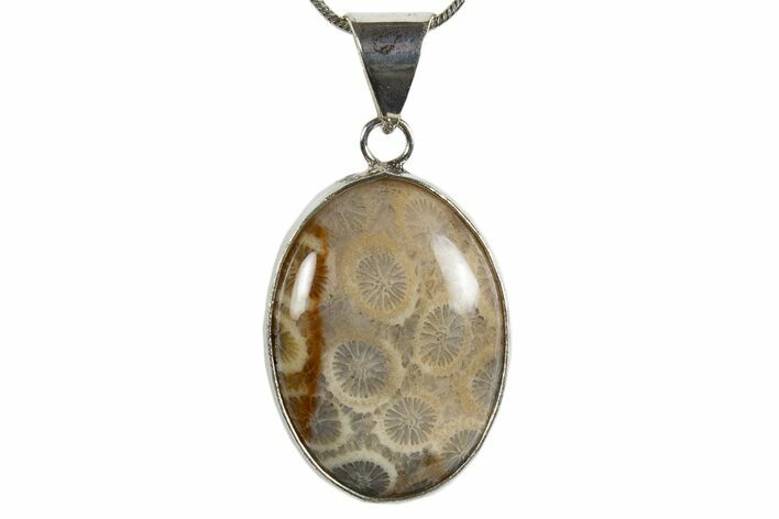 Polished Indonesian Fossil Coral Pendant (Necklace) #345280